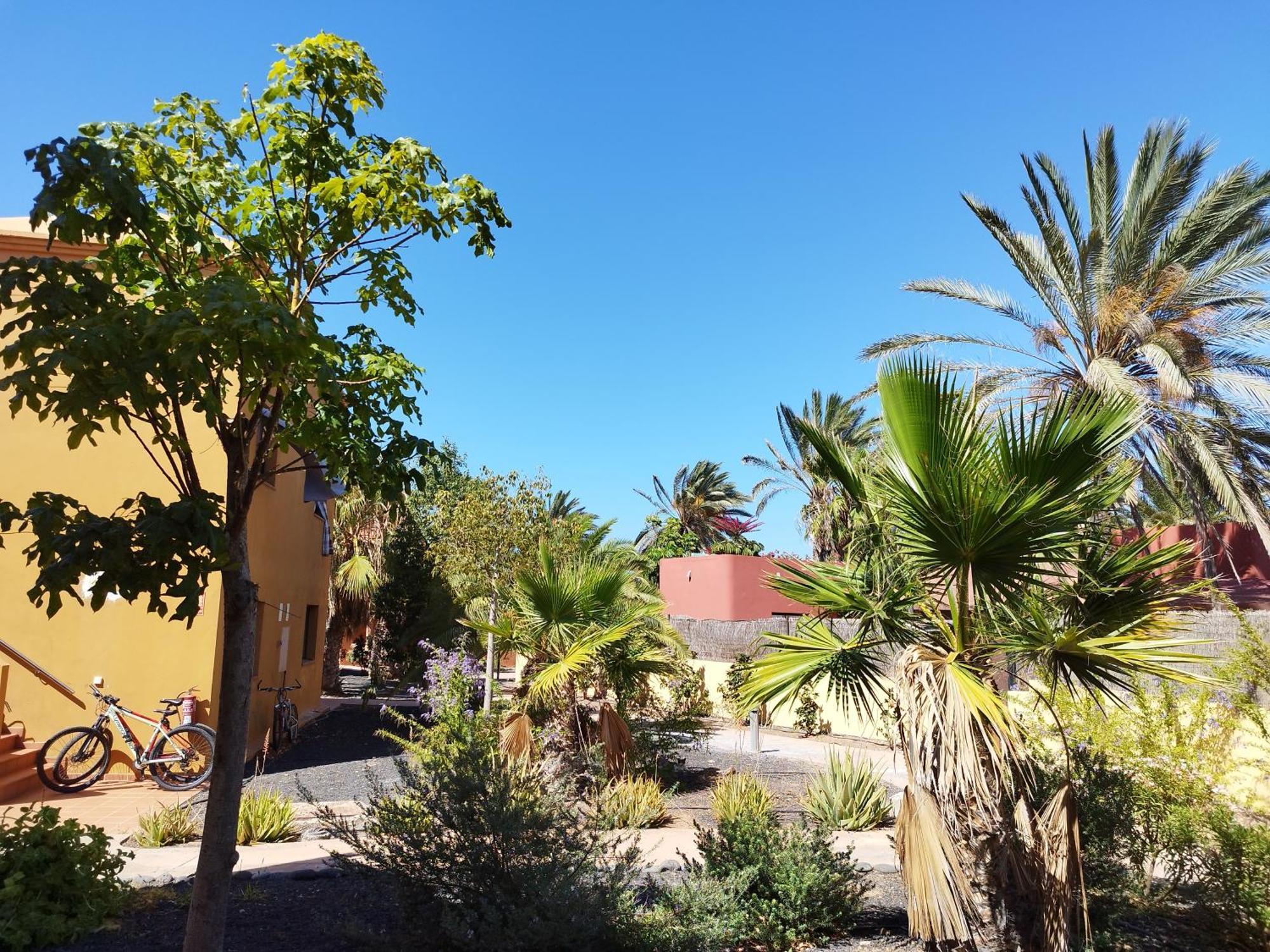 Cozy Apartment In Tamarindo 2 Corralejo Extérieur photo